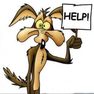 Meet your Posher, Christy